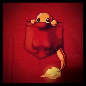 Pokemon Charmander t-shirt from TeeTurtle